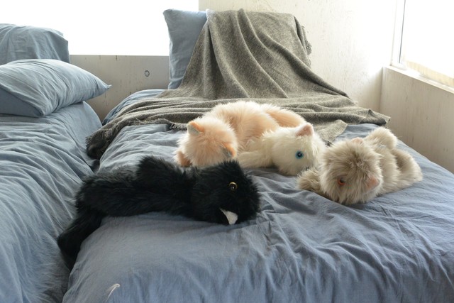 ぐにゃぐにゃとくつろぐ猫のぬいぐるみ