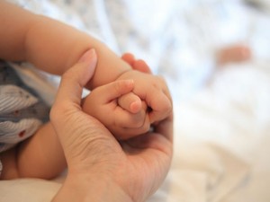 遺贈寄付は信託も活用できる