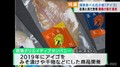 「厄介者」商品化の取り組み