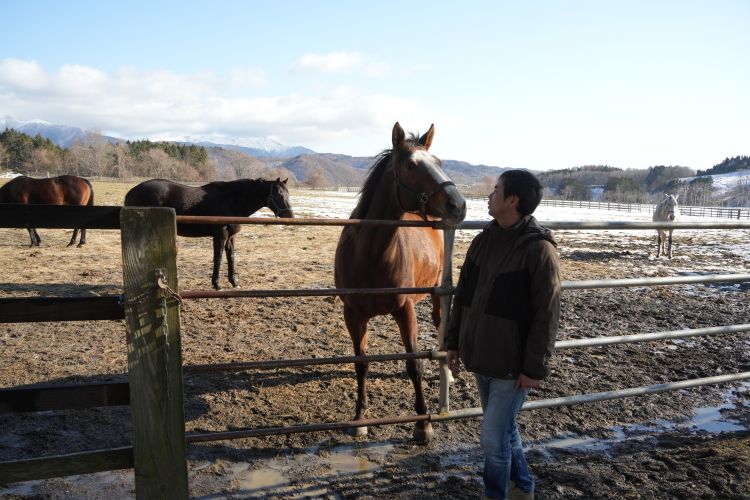 「子馬が生まれる瞬間が一番緊張する」と辻陽さんは言う=2026年2月19日、北海道浦河町、高久潤撮影