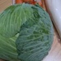 立派なキャベツや泥付きのネギ、大根など…正座して差し出された“まさかの手土産”／雪枝さん提供