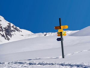 誰にも認めてもらえない仕事が辛い。自分に合う仕事はどこにある？