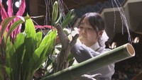 制限時間5分の真剣勝負　花を使って自分を表現　全国高校生花いけバトル開催　高松市