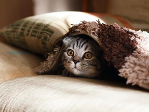 何をしても不器用で不注意な私。友人の「可愛い」「萌える」は魔法の言葉だった