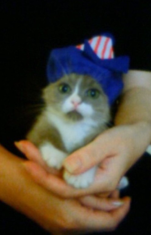 手のひらサイズだった、お迎え当初