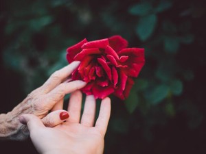 しわしわになった私が最期の瞬間、「よく頑張った」と自分を赦せたら