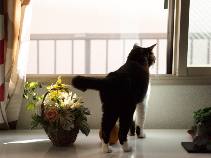 「僕はいつも黒のつなぎを着てるんだ」（小林写函撮影）
