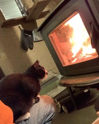 暖を取る？飛び込みそうな勢い