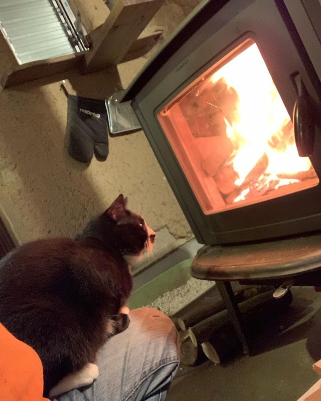 暖を取る？飛び込みそうな勢い