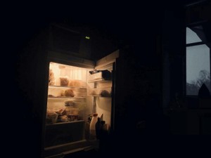 冷蔵庫で健気に私の帰りを待つのは私の伴侶