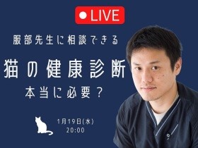 猫の健康診断なんとなく受けていませんか？【1月19日20時】服部先生ライブ
