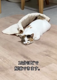 15分ほどで解凍（心福さん提供、Instagramよりキャプチャ撮影）