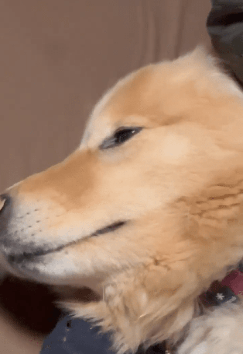 うっとり…恍惚とした表情