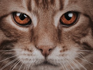 ようやく解放されると思ったのに。惚れたカラコンが一瞬でまた消えた