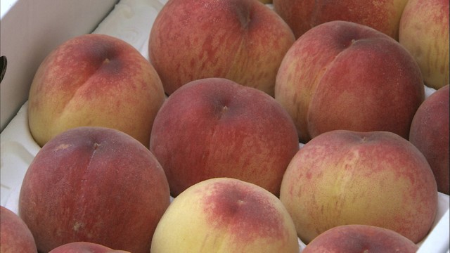 とれたてのモモの直売所がオープン　香川一の産地・丸亀市飯山町