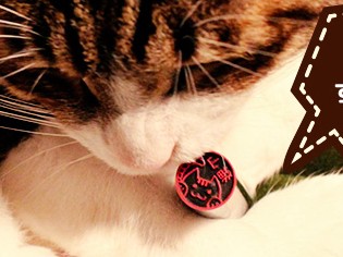 銀行印にも可　犬猫イラスト入り判子「いぬずかん・ねこずかん」