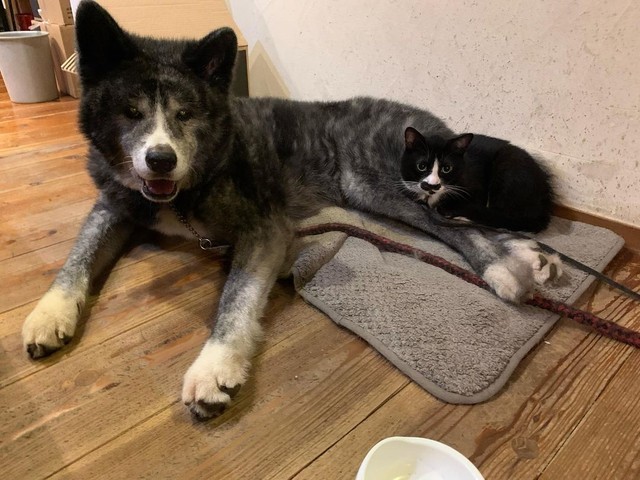 まるで兄弟のよう。いつも一緒にいる