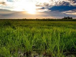 結果至上主義の現代社会で、私がぼーっと「なんか」を追求する方法