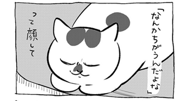 「なんかちがうんだよな」と思う猫さま（提供：松本ひで吉さん）