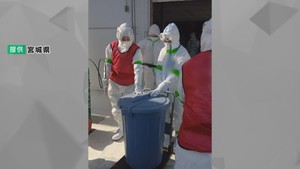 【速報】宮城・石巻市で確認の鳥インフルエンザ　防疫措置完了