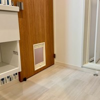猫専用の出入り口がある部屋も／猫専用賃貸 Gatos Apartmentさん（gatos_apartment）提供