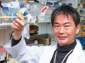 ＡＩＭを活性化させるフードが登場　開発に携わった宮崎徹先生に聞く