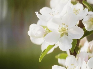 生まれてきてくれてありがとう。そう伝えた親友への愛情を今、手放した