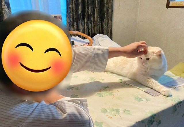 お父さんといっしょ！（ふじまる＠ぬいぐるみさん提供）