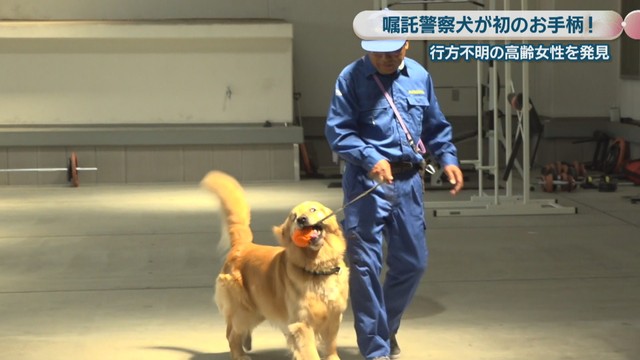 女性を発見した嘱託警察犬／ルイくん（5歳）