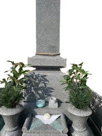 辰巳正月の尾羽に飾られた逆さしめ縄（提供＝木谷仏壇）