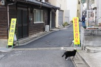 火災現場は立ち入りが規制されていた（３月１８日）