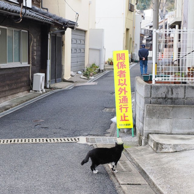 火災現場は立ち入りが規制されていた（３月１８日）