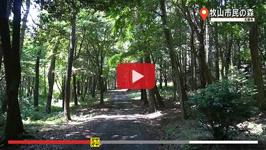 #354牧山市民の森①