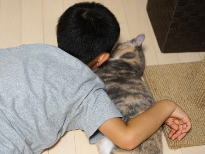 困ったことがあれば僕にいいなよ