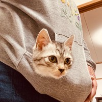 石橋家にやってきたころのそら豆。石橋さんの服のポケットの中がお気に入り（石橋さん提供）