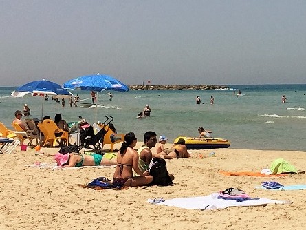 テルアビブは猫の天国？　夜にはどこからか猫が集まる