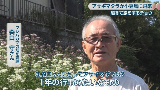 フジバカマの畑を管理／森口守さん