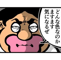 相撲系ピンクとはどんな色なのか…（退屈健さん提供）