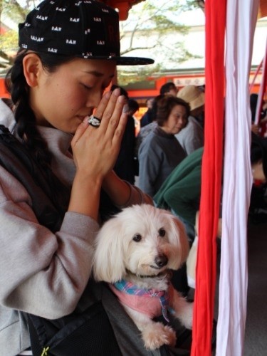 「おでかけ沢山できますように。おやつもいっぱいもらえますように」Ｂｙにじ色　（京都伏見稲荷神社）