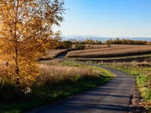 男性にすがらない。私の恋愛観を変えた母のひとこと