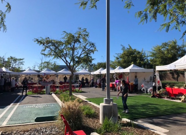 明るく開かれたシェルター、訪れる人の心もなごませる（LAのAnnengberg petspace）