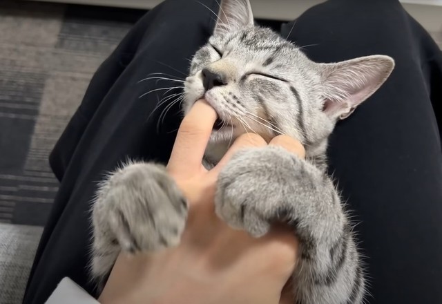 お風呂のあとはいつもの指しゃぶり（「ととまるとはんみ」さん提供、YouTubeよりキャプチャ撮影）