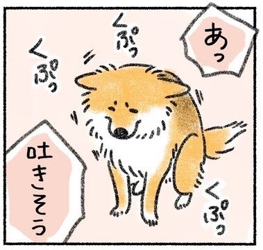 あっ、これはリバースのサイン！(さかぐちまやさん提供）