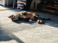 なにげない日常はすべて、宝物だった