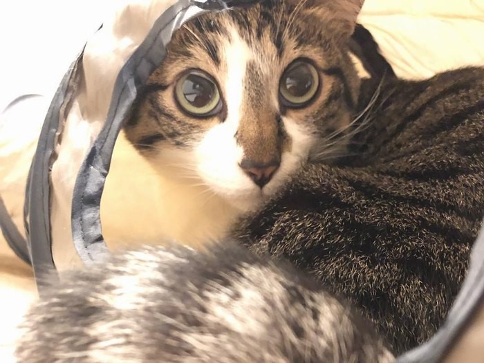 トンネルは苦手