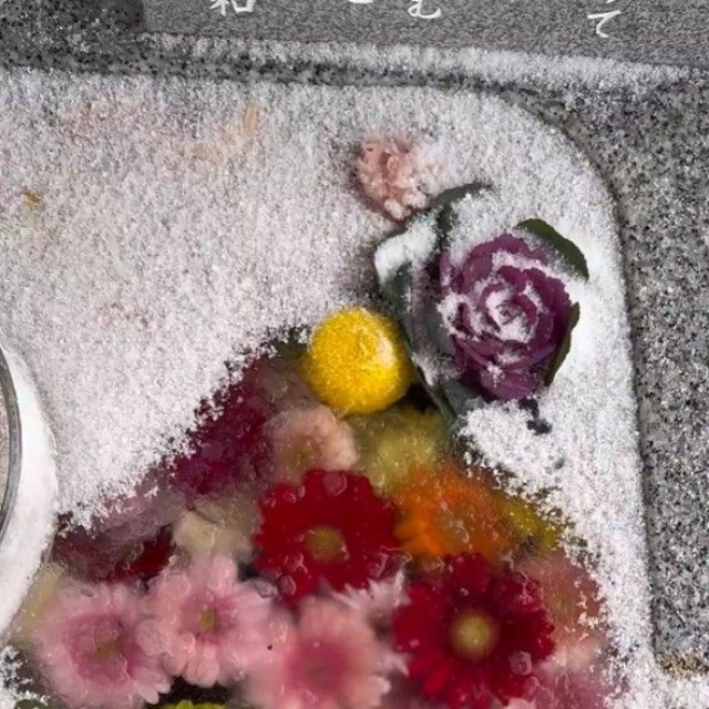 夢のように美しい光景に反響（動画よりキャプチャ、トリミング 画像提供：荘内神社さん）