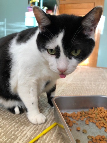 ぱくぱく食べて、すくすく成長しました（夏子さん提供）