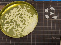 ランナー１枚分のパーツがようやく切り出された、、！（提供：むりかもめ🦈さん）