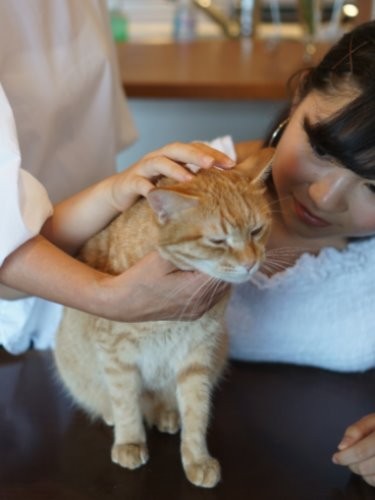 うちに来てくれてありがとう