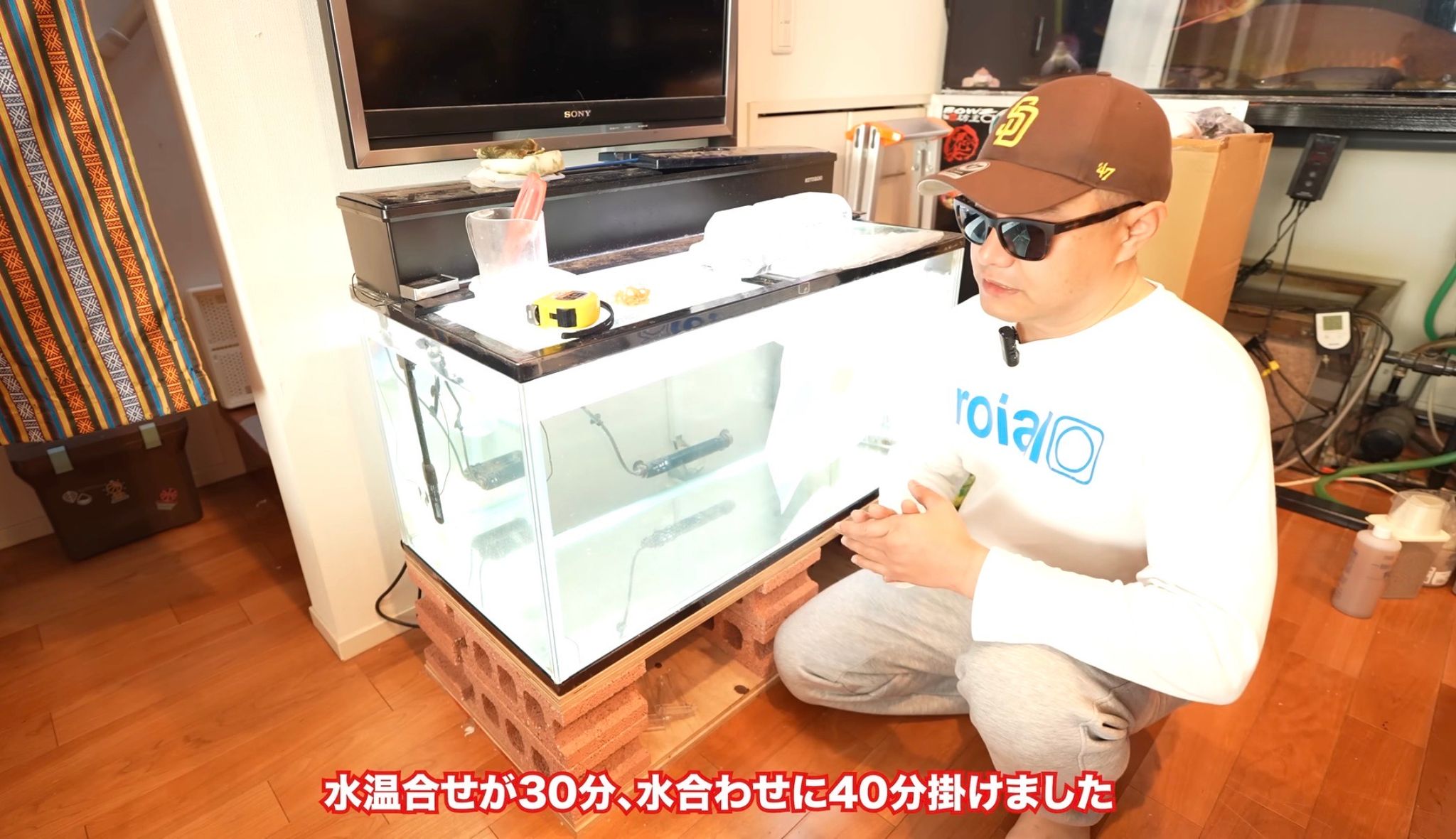 嫁に内緒で買っちゃいました！”25万円の魚” さりげなく水槽に追加 